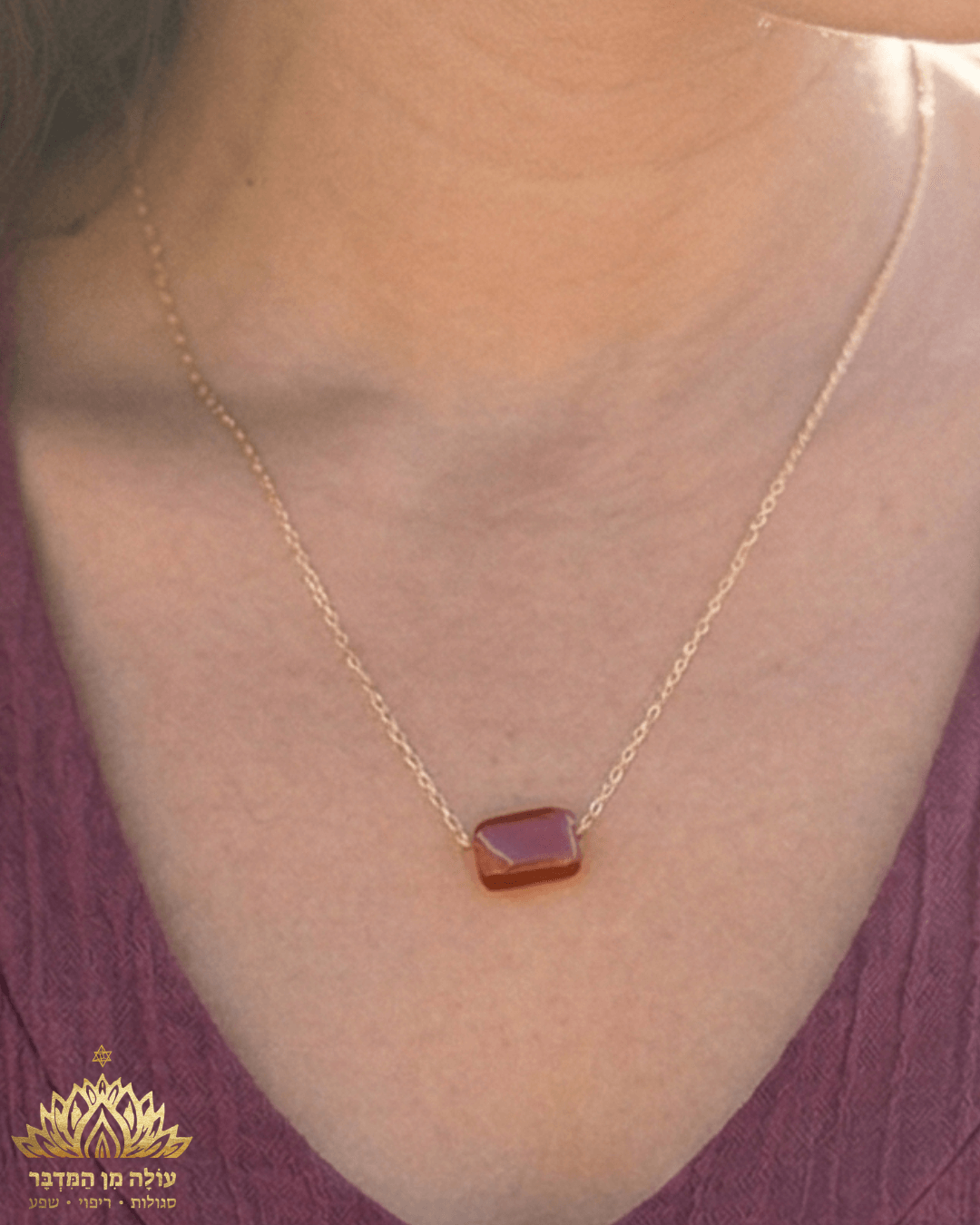 עיצוב_ללא_שם_(7)[1]